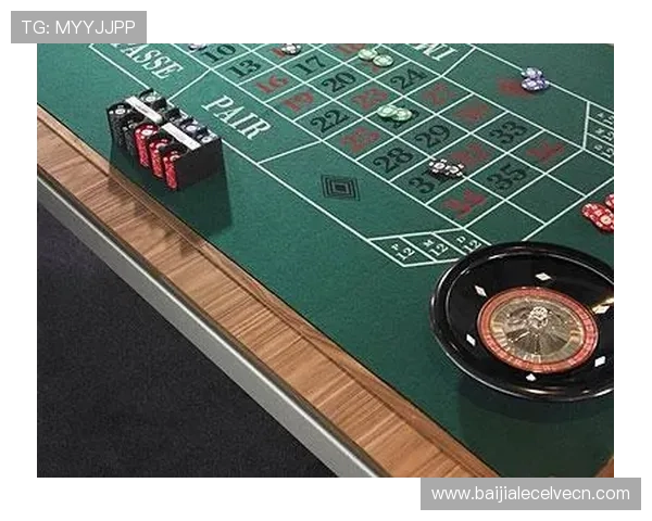 全面解析KY体育百家乐的规则与策略帮助新手快速入门