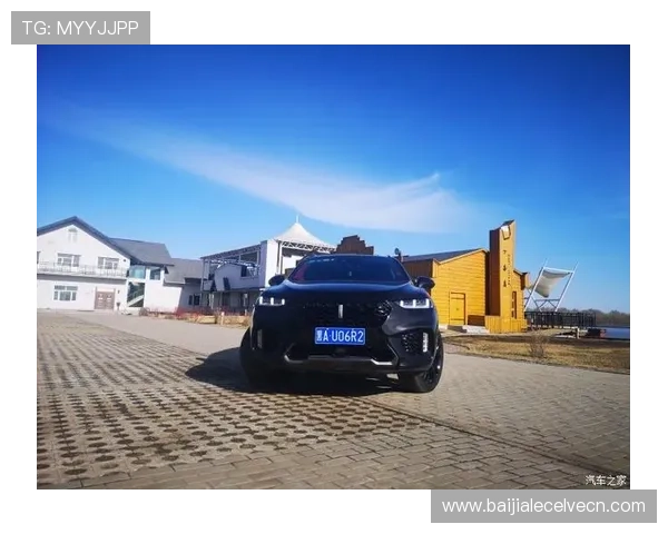 全面评测evo真人平台怎么样是否值得信赖和推荐