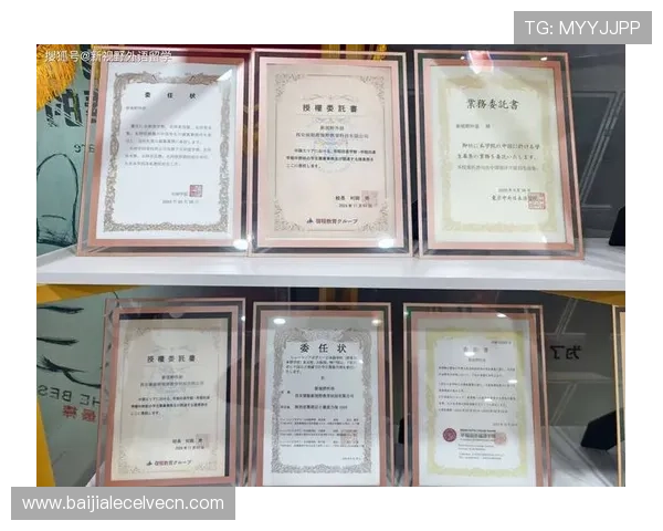 不同百家乐注码法组合的优势与劣势详解,助你制定个性化投注计划 不同百家乐注码法组合的优势与劣势详解,助你制定个性化投注计划