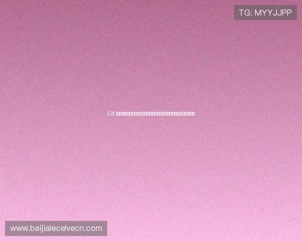 EVO真人视讯平台安全保障措施详解，确保玩家资金与个人信息的双重安全