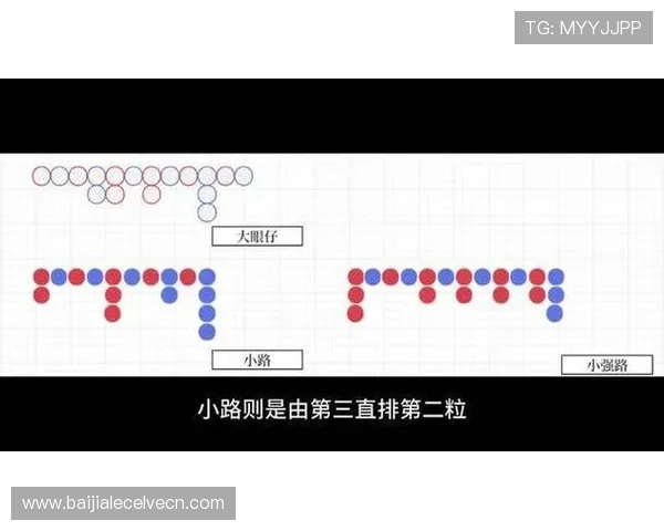 如何结合百家乐大眼仔路与其他路单分析提升整体投注策略效果