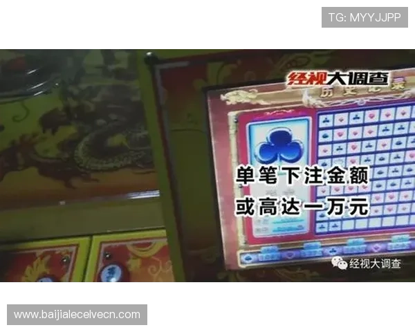 了解百家乐多种玩法的详细介绍与实战技巧，帮助玩家提升胜率